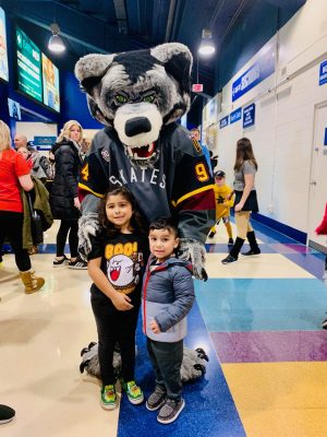 Chicago Wolves
